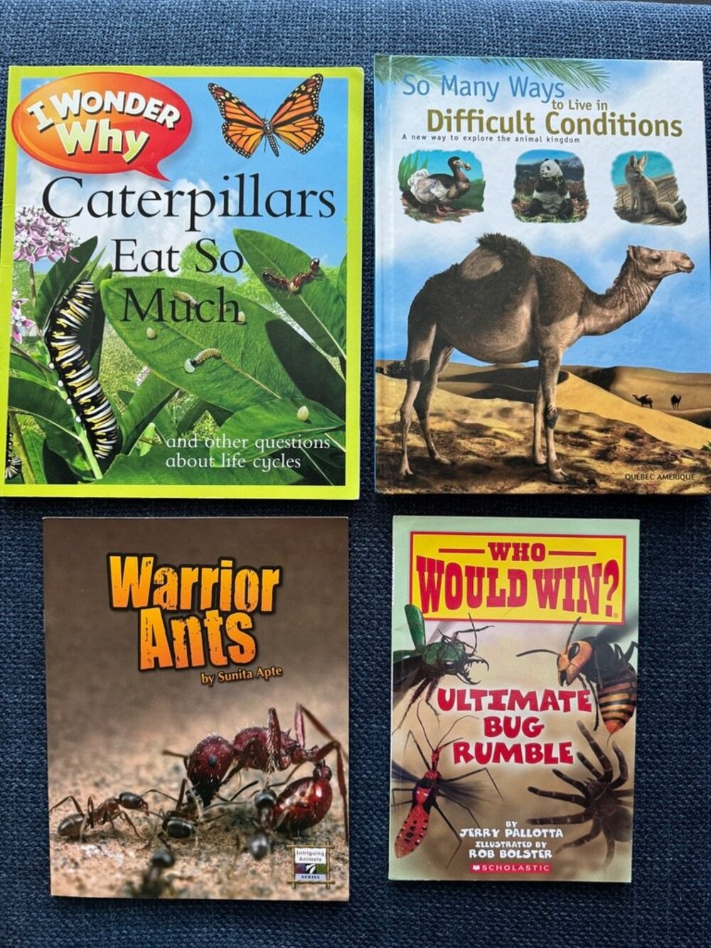 Grade School Science Books (4) Life Cycles Habitats Insects Animals